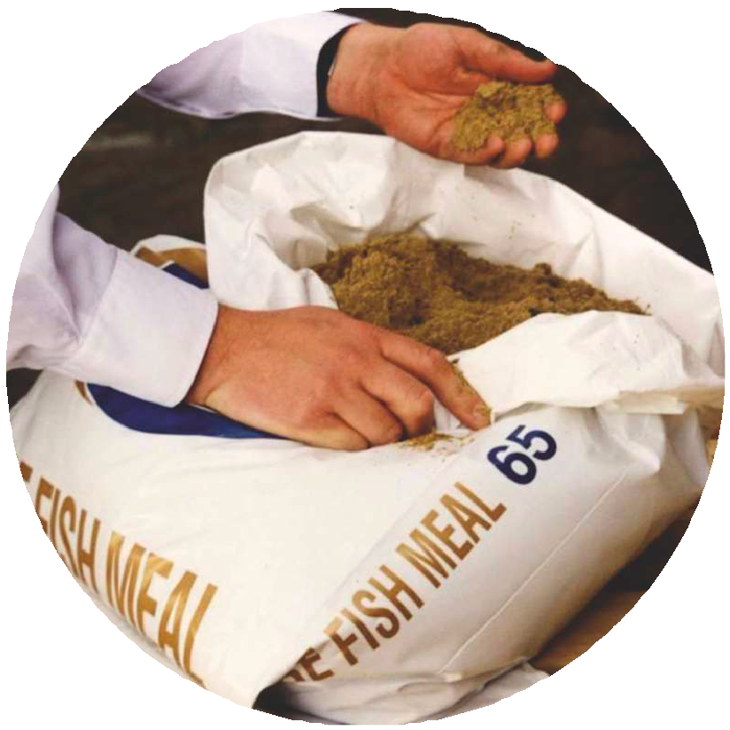 Высококачественная рыбная мука