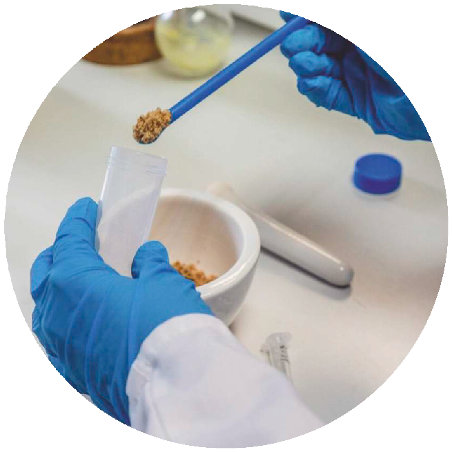 Высококачественная рыбная мука